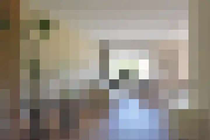 Marijkepaed 38 Noardburgum thumbnail 21