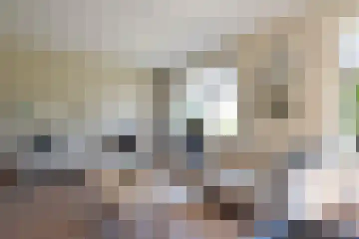 Marijkepaed 38 Noardburgum thumbnail 24