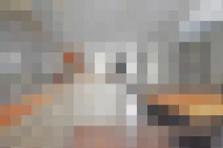 Marijkepaed 6 Noardburgum thumbnail 29