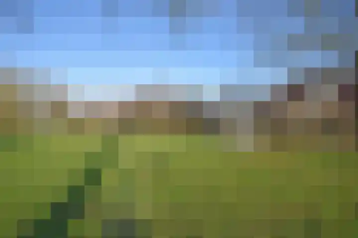 Marijkepaed 6 Noardburgum thumbnail 4