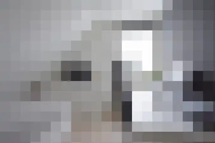 Marijkepaed 6 Noardburgum thumbnail 40