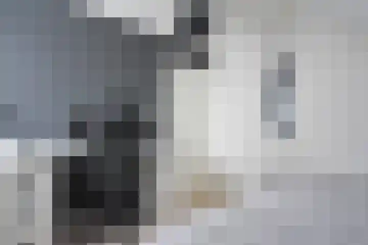 Marijkepaed 6 Noardburgum thumbnail 42