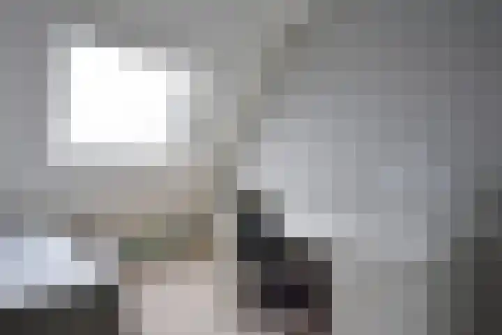 Marijkepaed 6 Noardburgum thumbnail 44