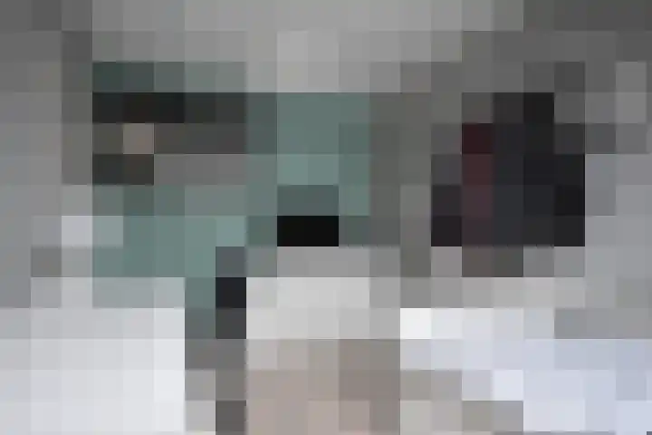 Marijkepaed 6 Noardburgum thumbnail 45