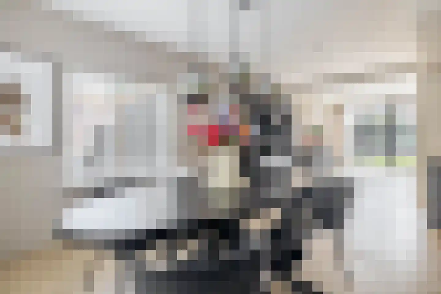 Marijkeplein 11 Rozenburg thumbnail 19
