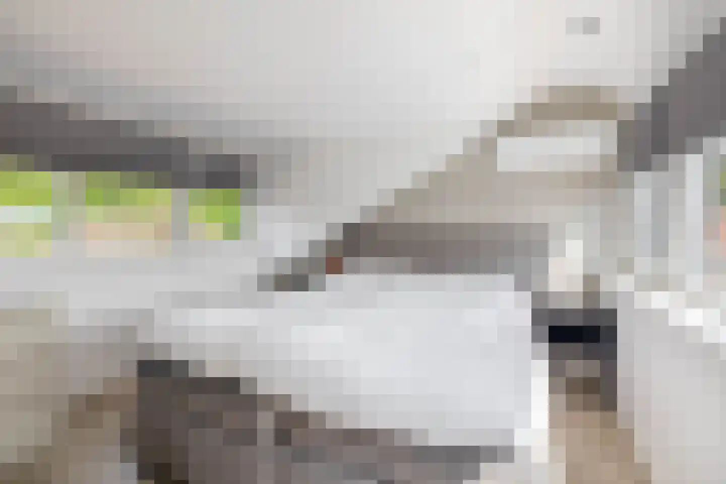 Marijkeplein 11 Rozenburg thumbnail 35
