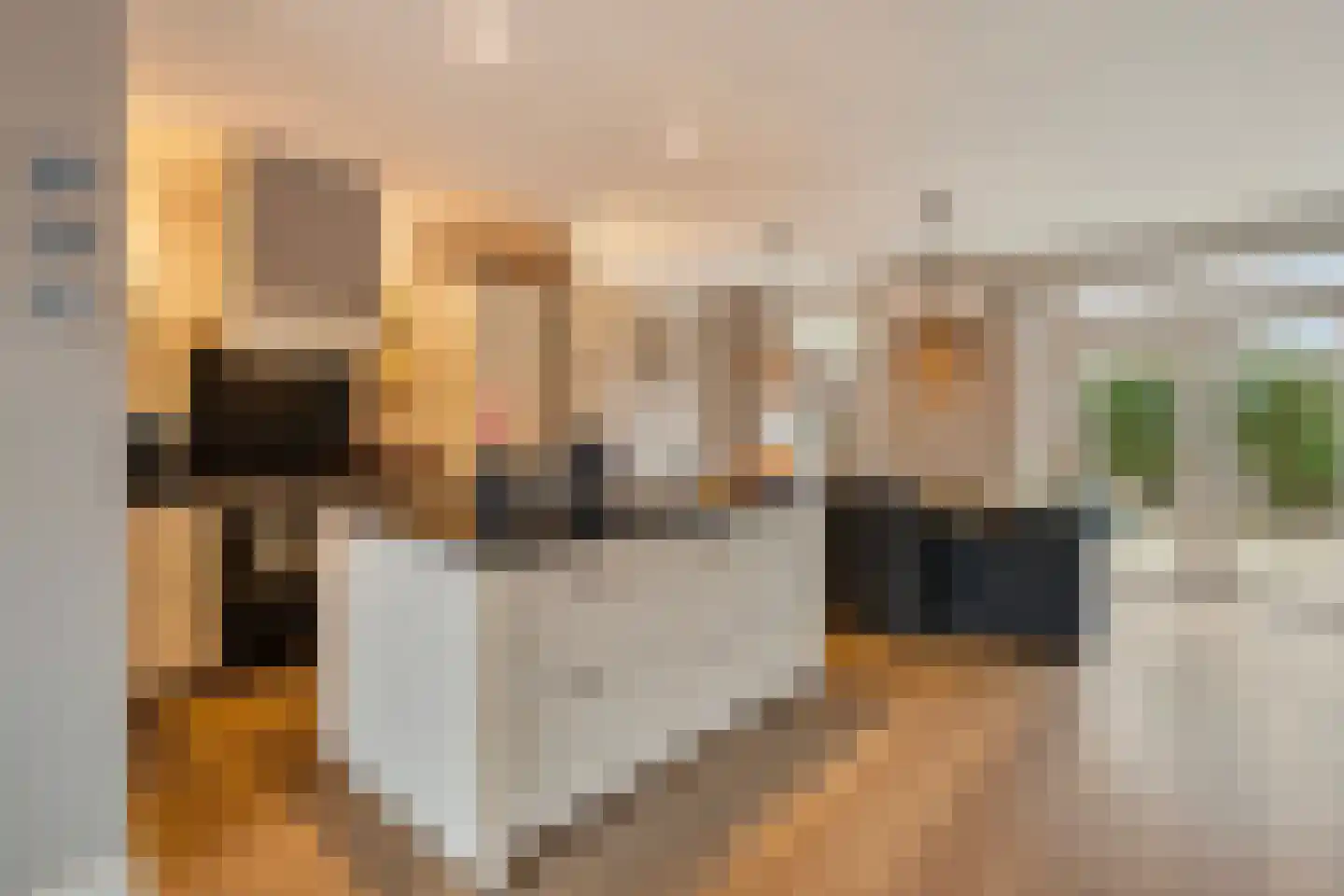 Marijkesingel 11 Barendrecht thumbnail 12