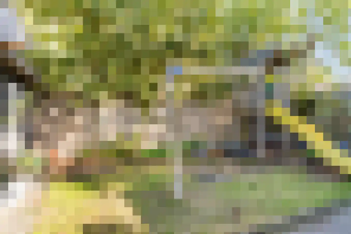 Marijkestraat 10 Nuenen thumbnail 10