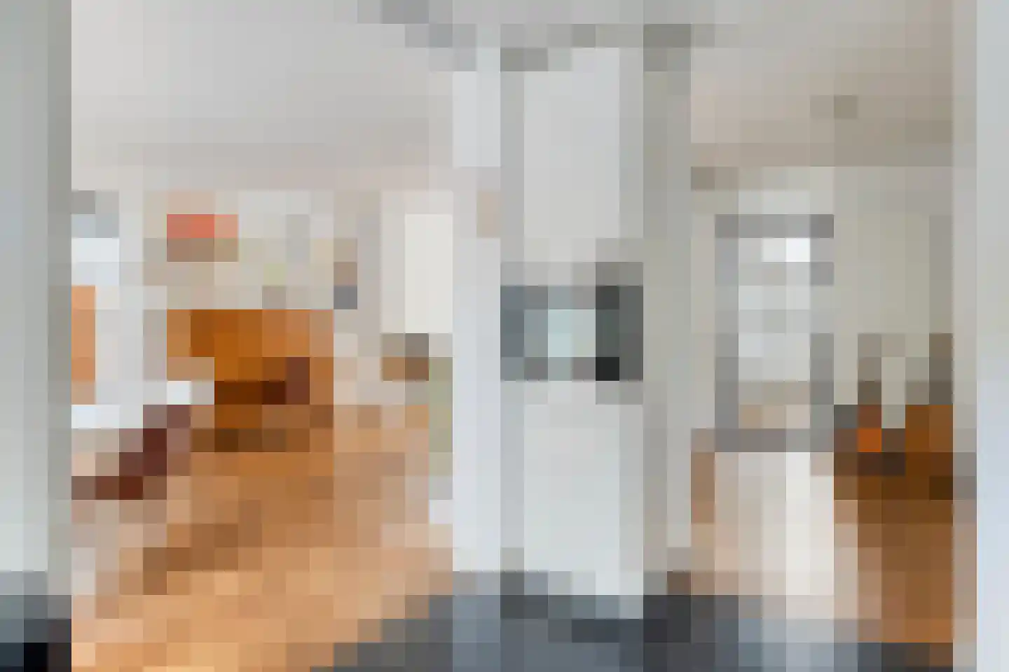 Marijkestraat 10 Nuenen thumbnail 24