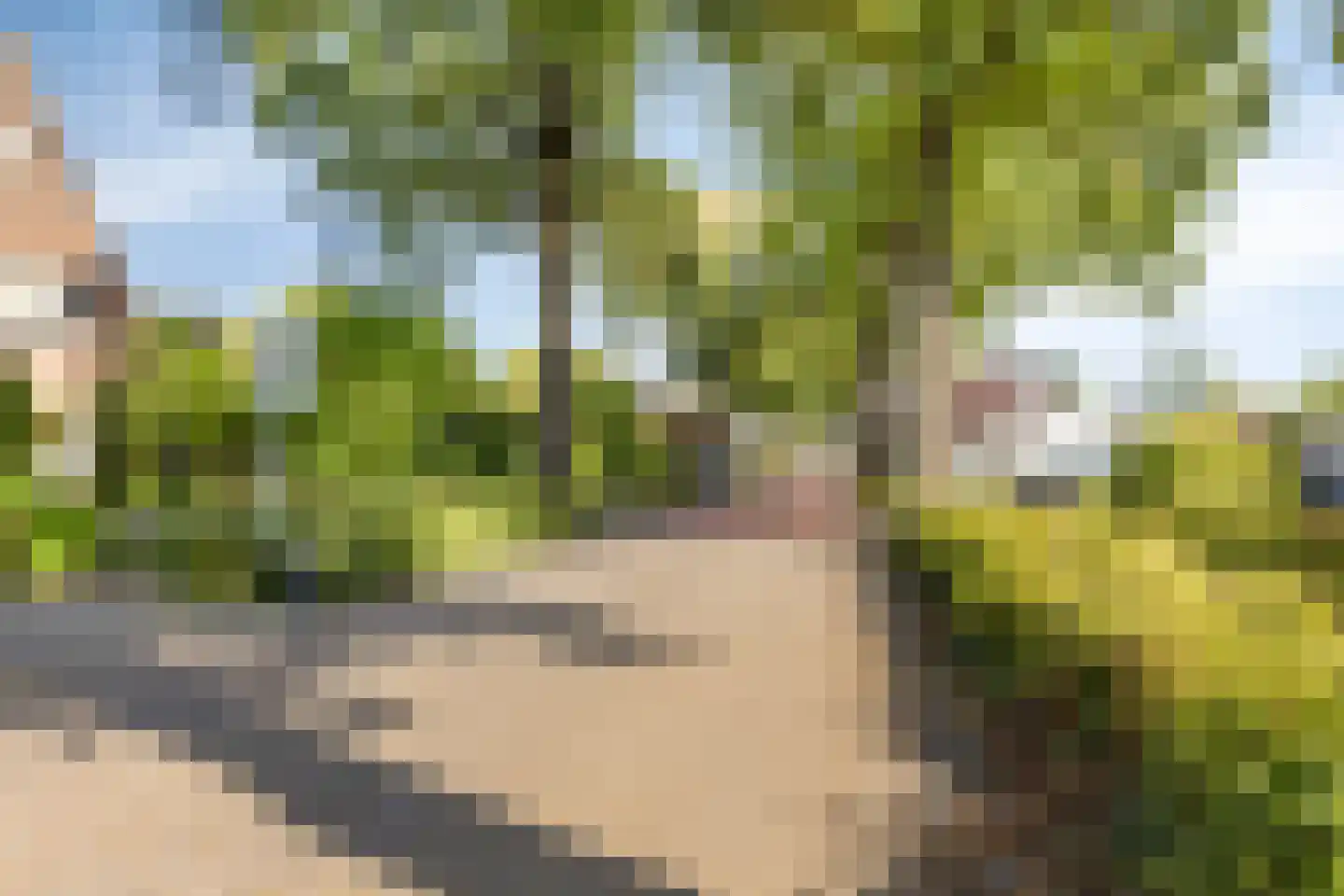 Marijkestraat 10 Nuenen thumbnail 4