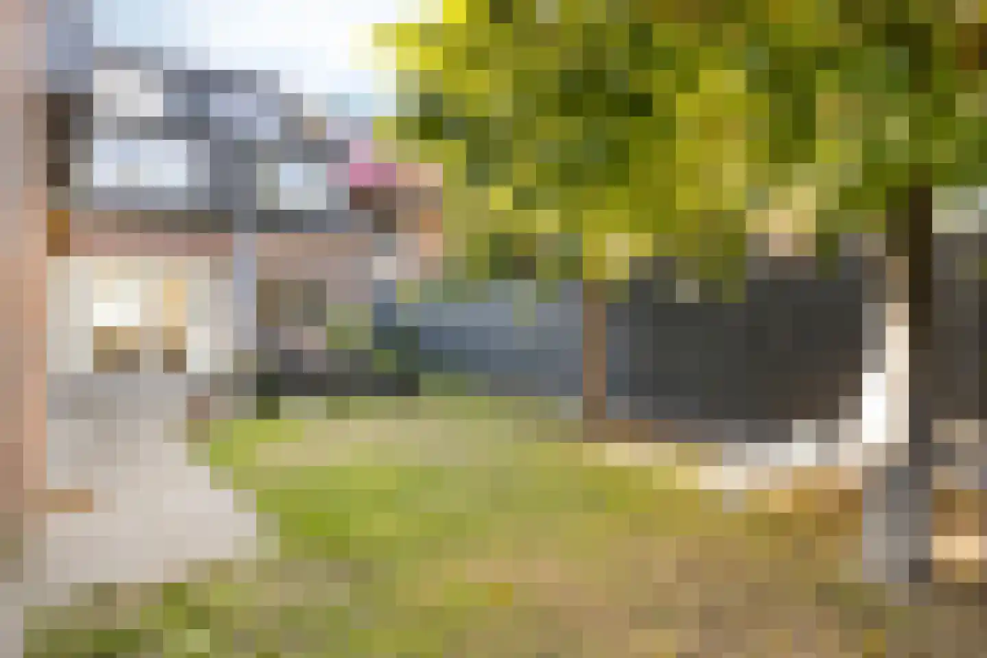 Marijkestraat 10 Nuenen thumbnail 9