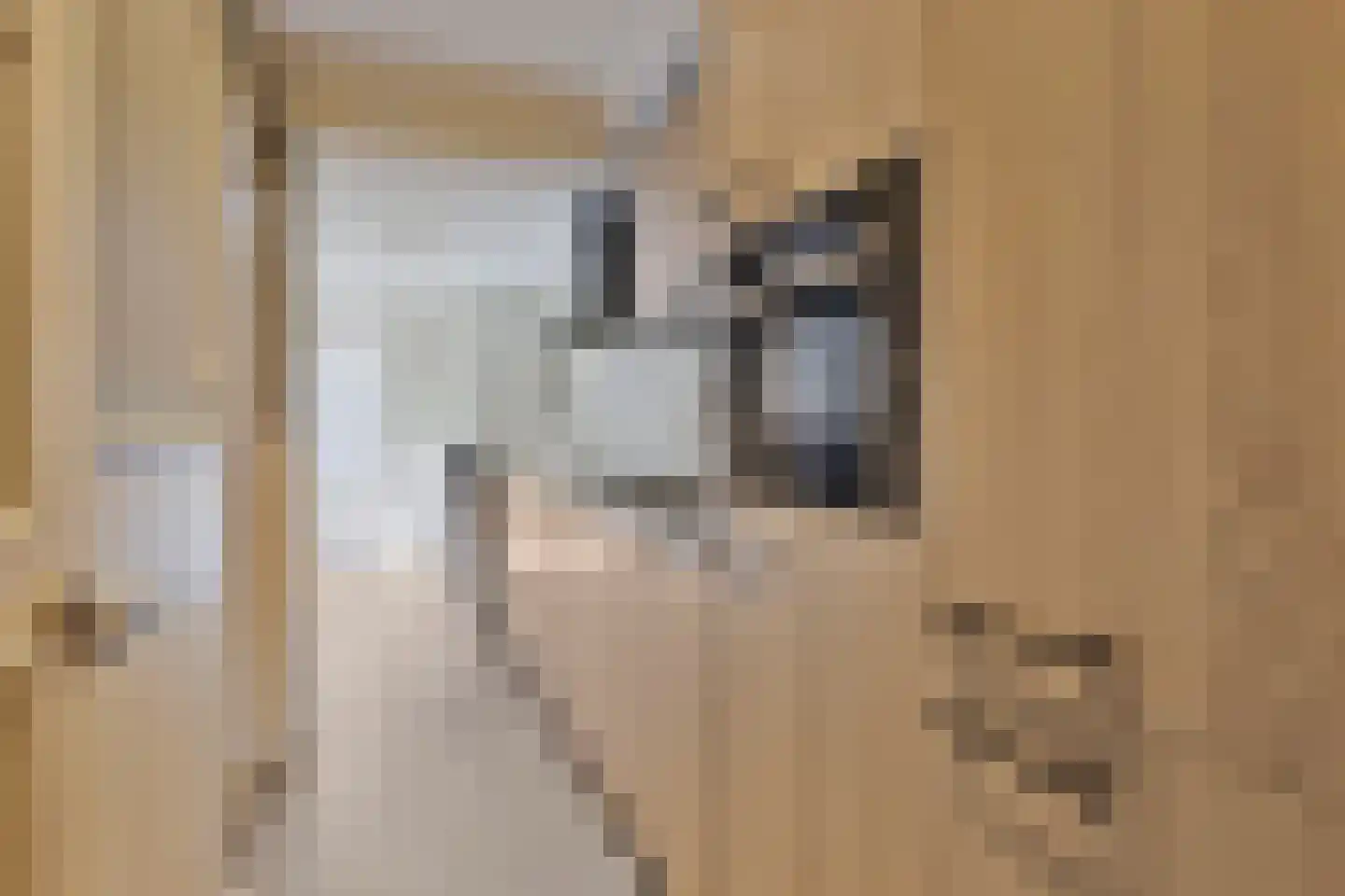 Marijkestraat 10 Rijssen thumbnail 18