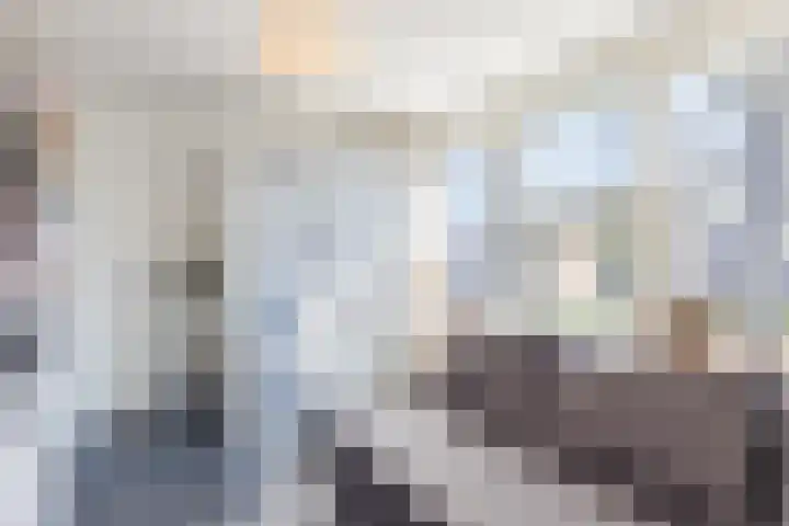 Marijkestraat 11 Goirle thumbnail 22