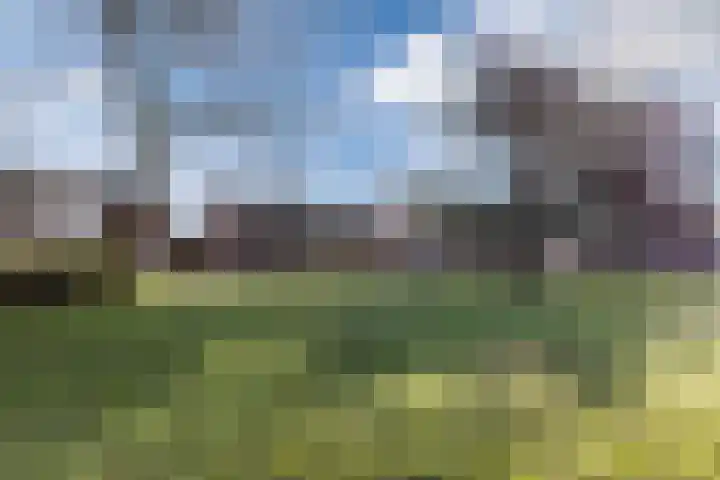 Marijkestraat 11 Goirle thumbnail 34