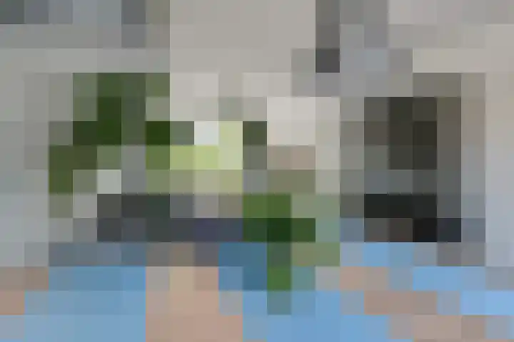 Marijkestraat 11 Zoetermeer thumbnail 12