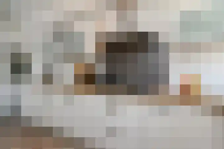 Marijkestraat 11 Zoetermeer thumbnail 19