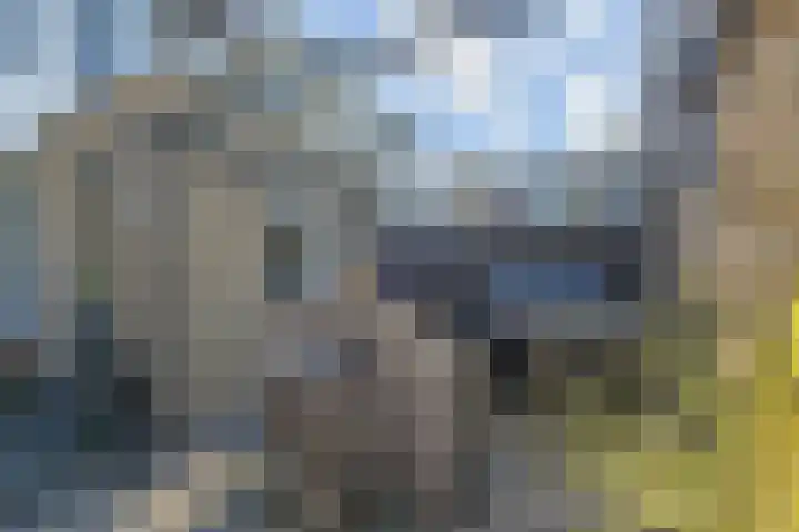 Marijkestraat 11 Zoetermeer thumbnail 23