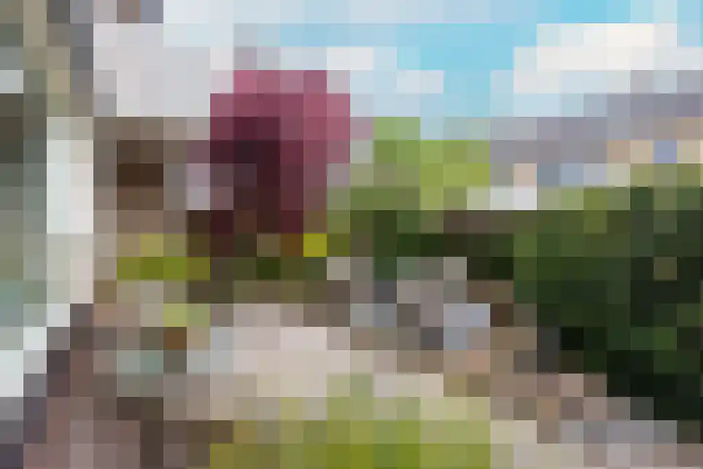 Marijkestraat 12 Culemborg thumbnail 47