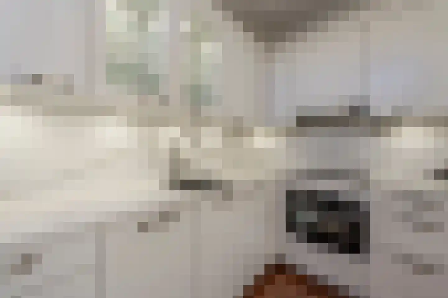 Marijkestraat 12 Heinenoord thumbnail 14