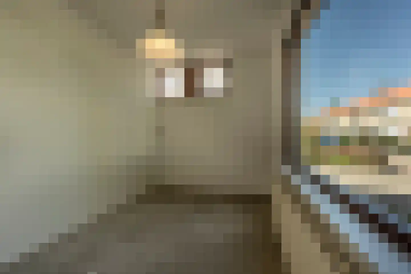 Marijkestraat 12 Heinenoord thumbnail 19