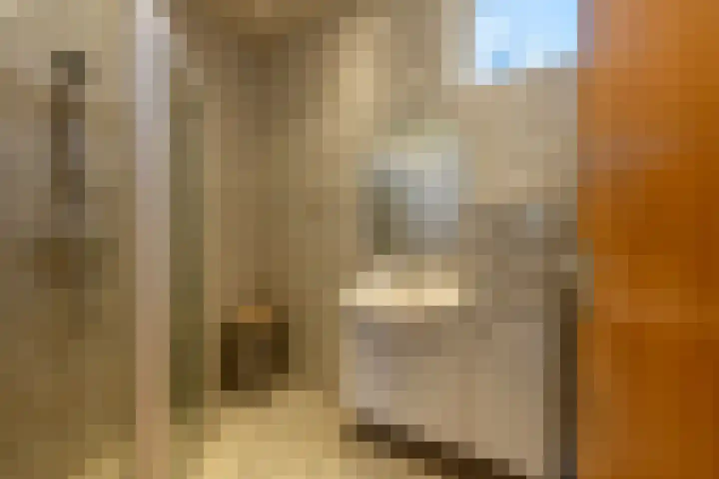 Marijkestraat 12 Heinenoord thumbnail 21