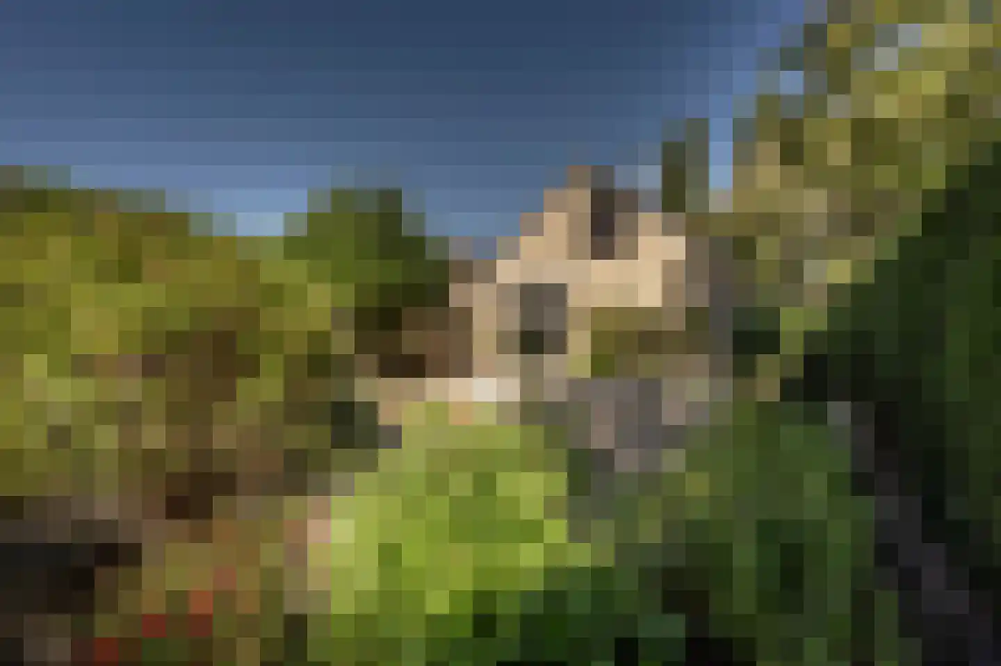 Marijkestraat 12 Heinenoord thumbnail 33