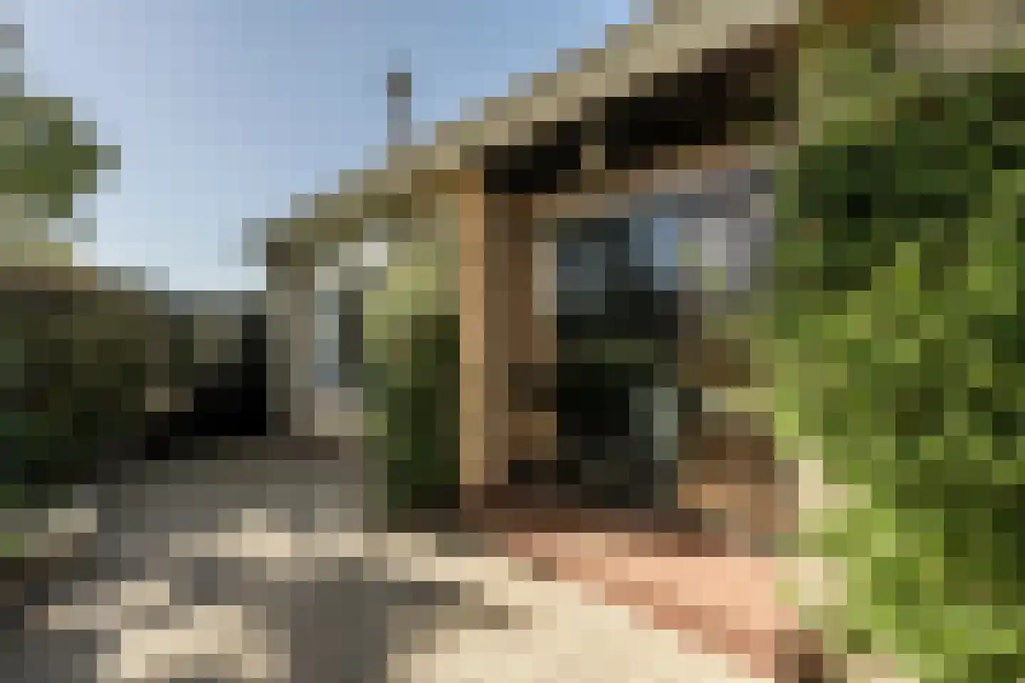 Marijkestraat 12 Heinenoord thumbnail 36