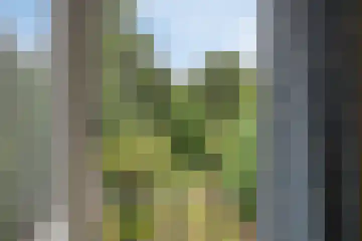 Marijkestraat 12 Nuenen thumbnail 15