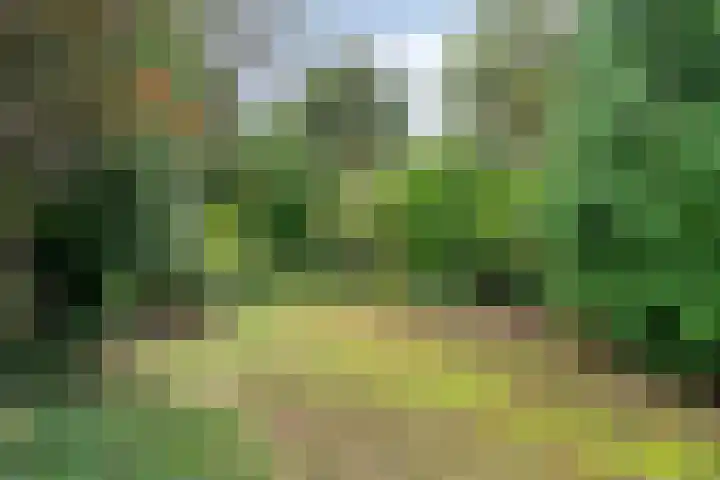 Marijkestraat 12 Nuenen thumbnail 23