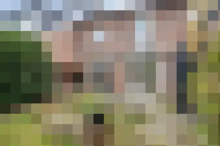 Marijkestraat 12 Nuenen thumbnail 24