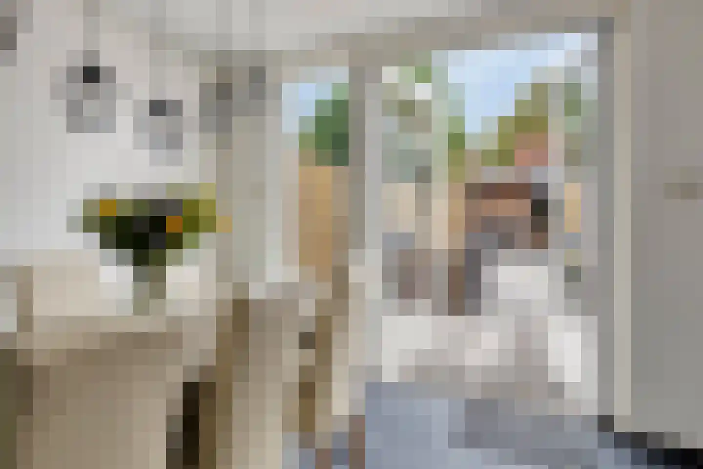 Marijkestraat 12 Terneuzen thumbnail 5