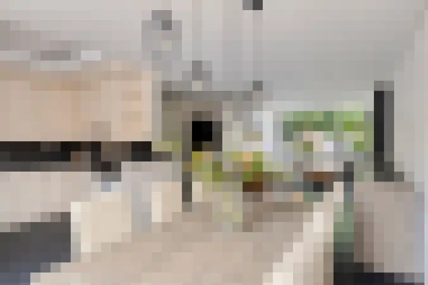Marijkestraat 12 Terneuzen thumbnail 8