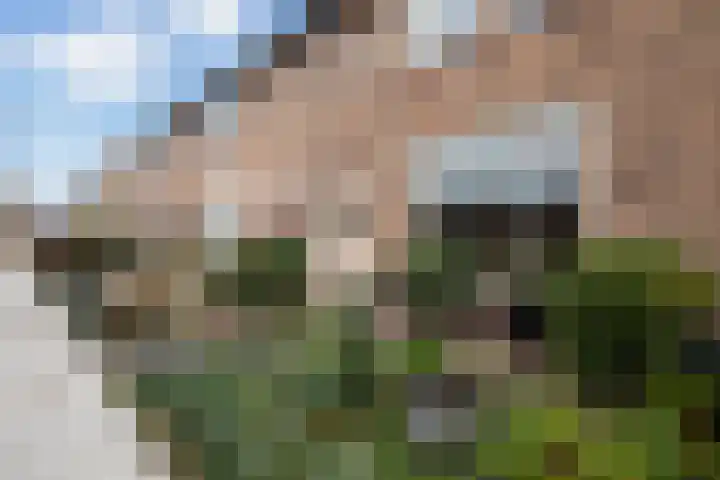 Marijkestraat 12 Wateringen thumbnail 36