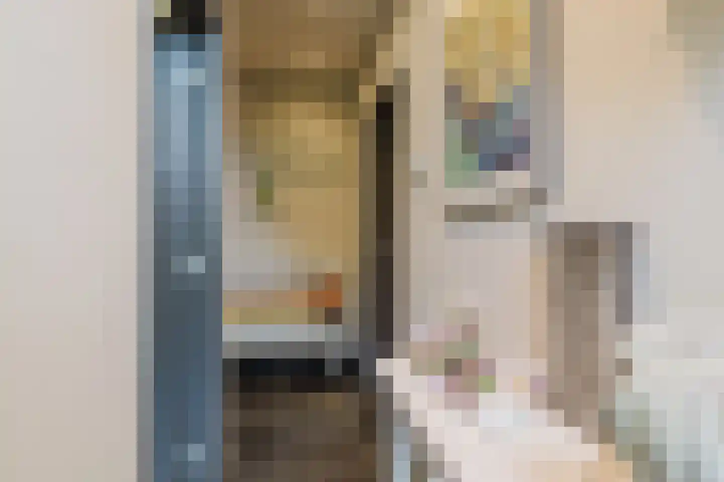 Marijkestraat 14 Bosschenhoofd thumbnail 12