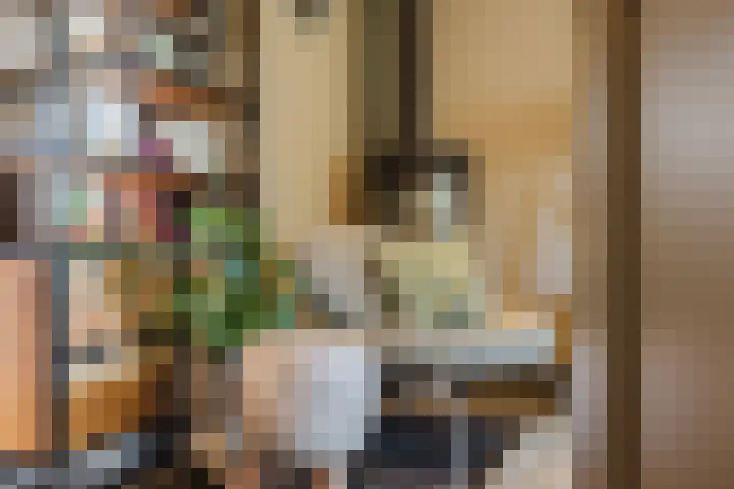 Marijkestraat 14 Bosschenhoofd thumbnail 13