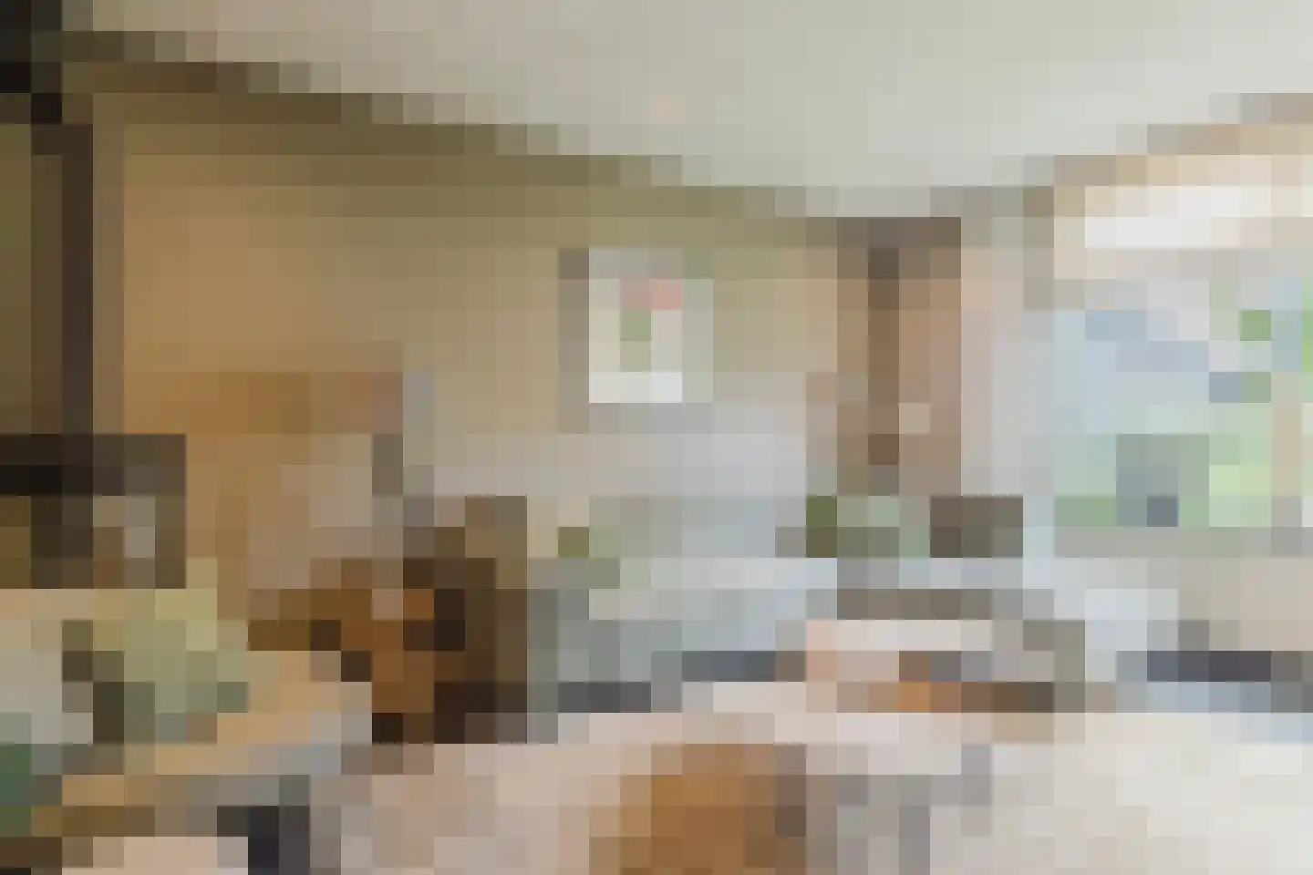 Marijkestraat 14 Bosschenhoofd thumbnail 15