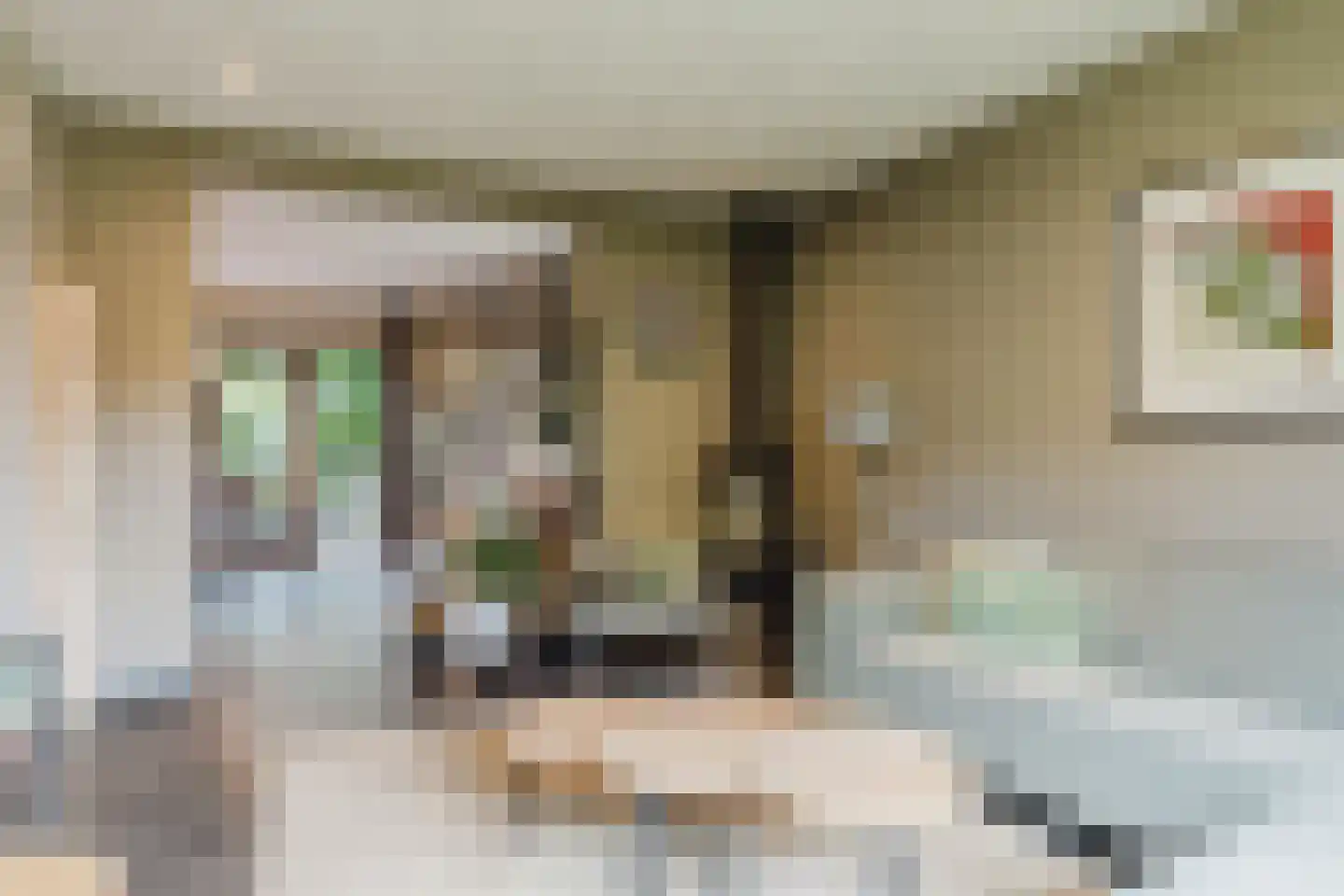 Marijkestraat 14 Bosschenhoofd thumbnail 16