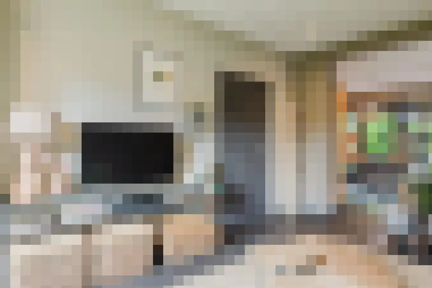 Marijkestraat 14 Bosschenhoofd thumbnail 17