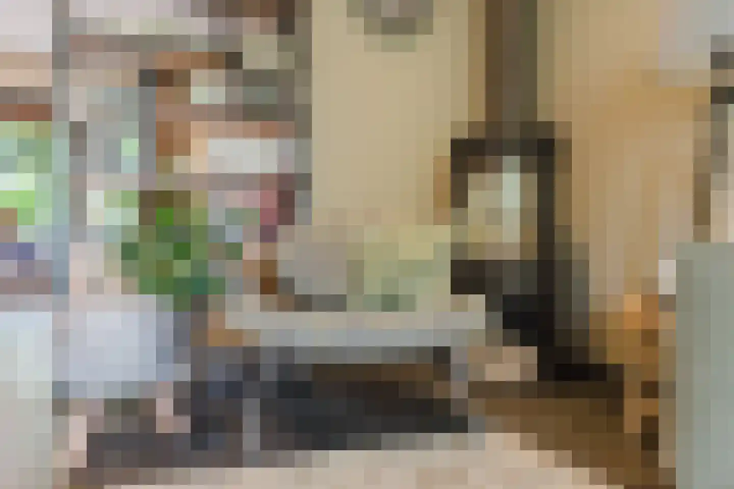 Marijkestraat 14 Bosschenhoofd thumbnail 18