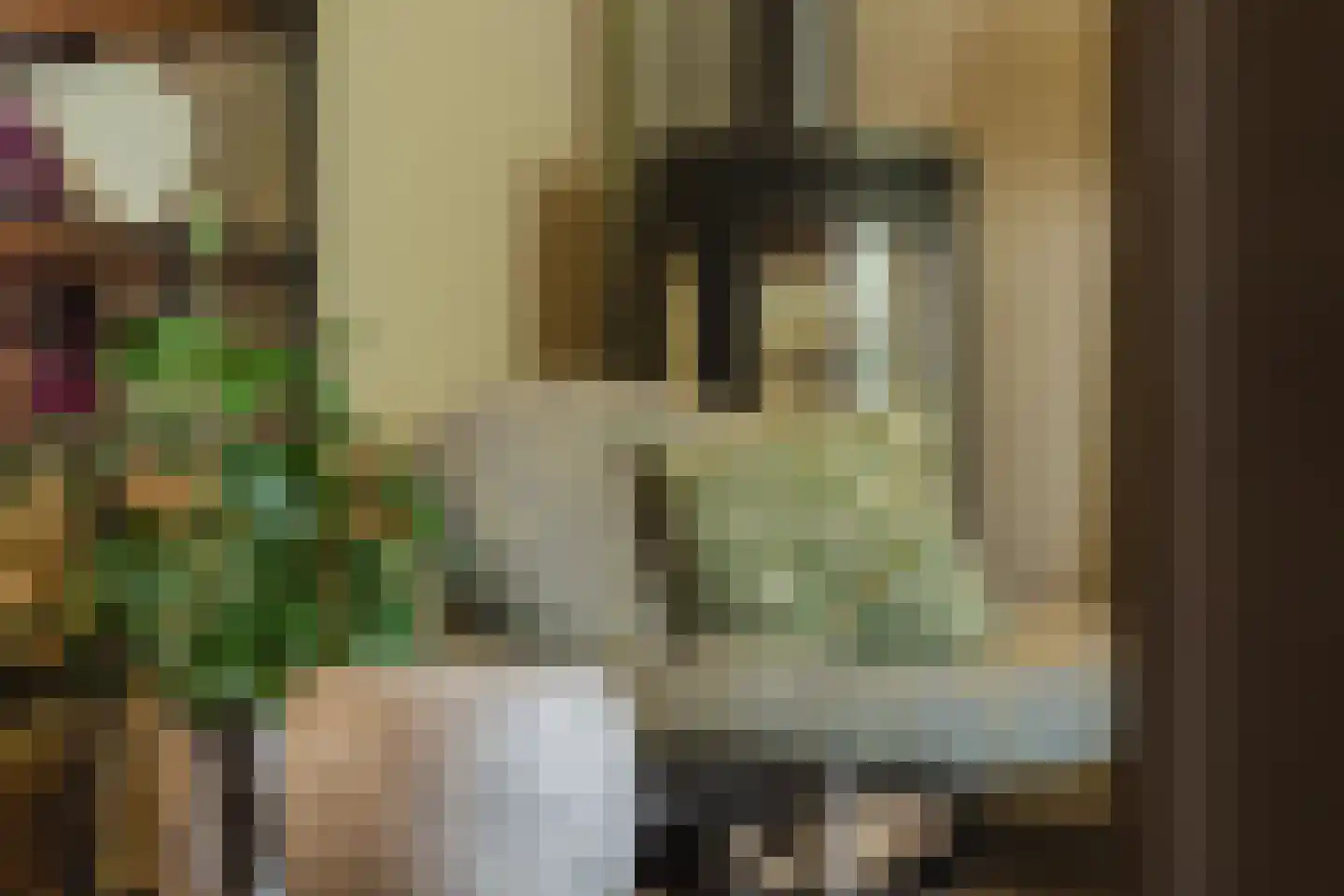 Marijkestraat 14 Bosschenhoofd thumbnail 20