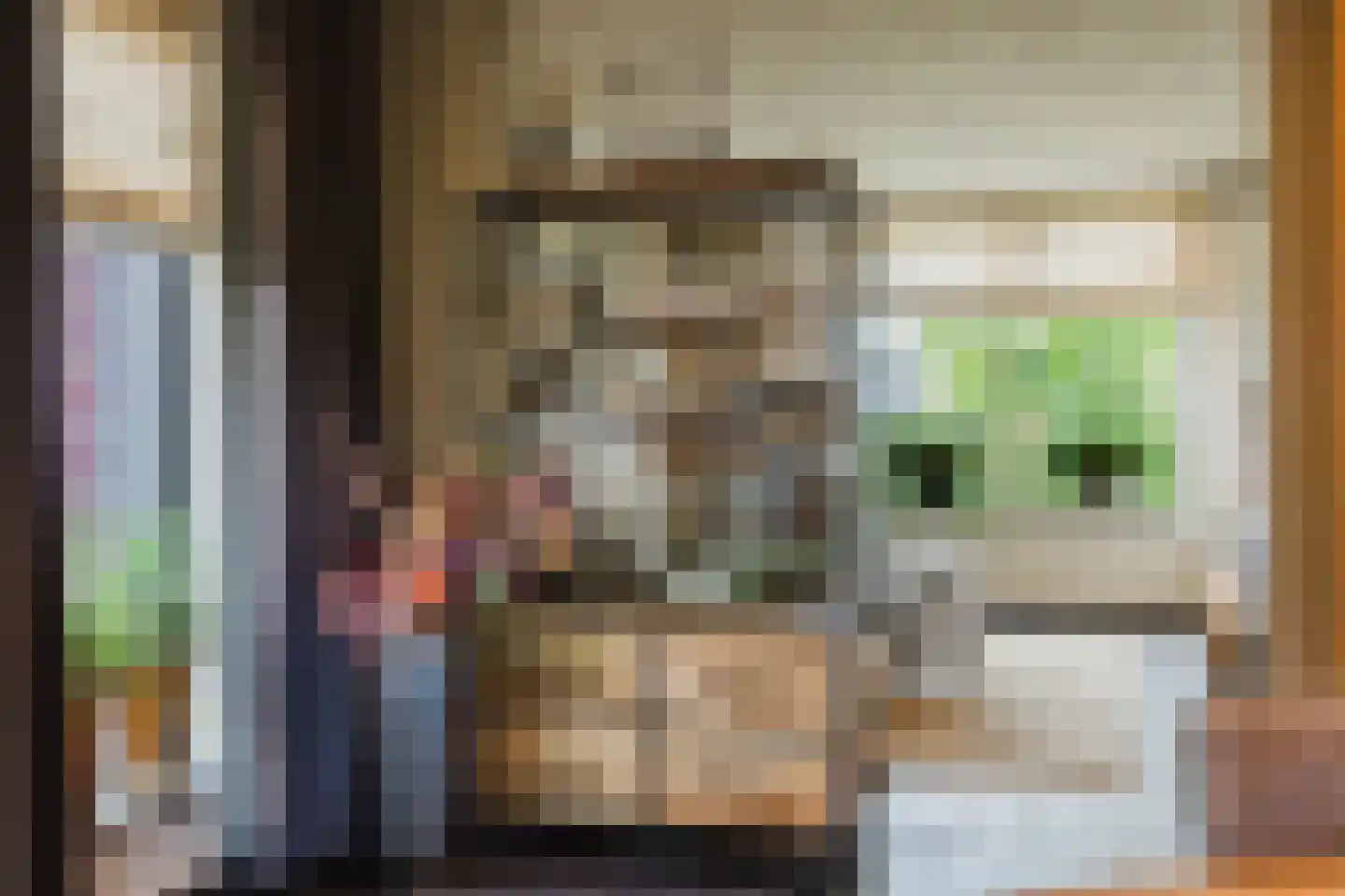 Marijkestraat 14 Bosschenhoofd thumbnail 26