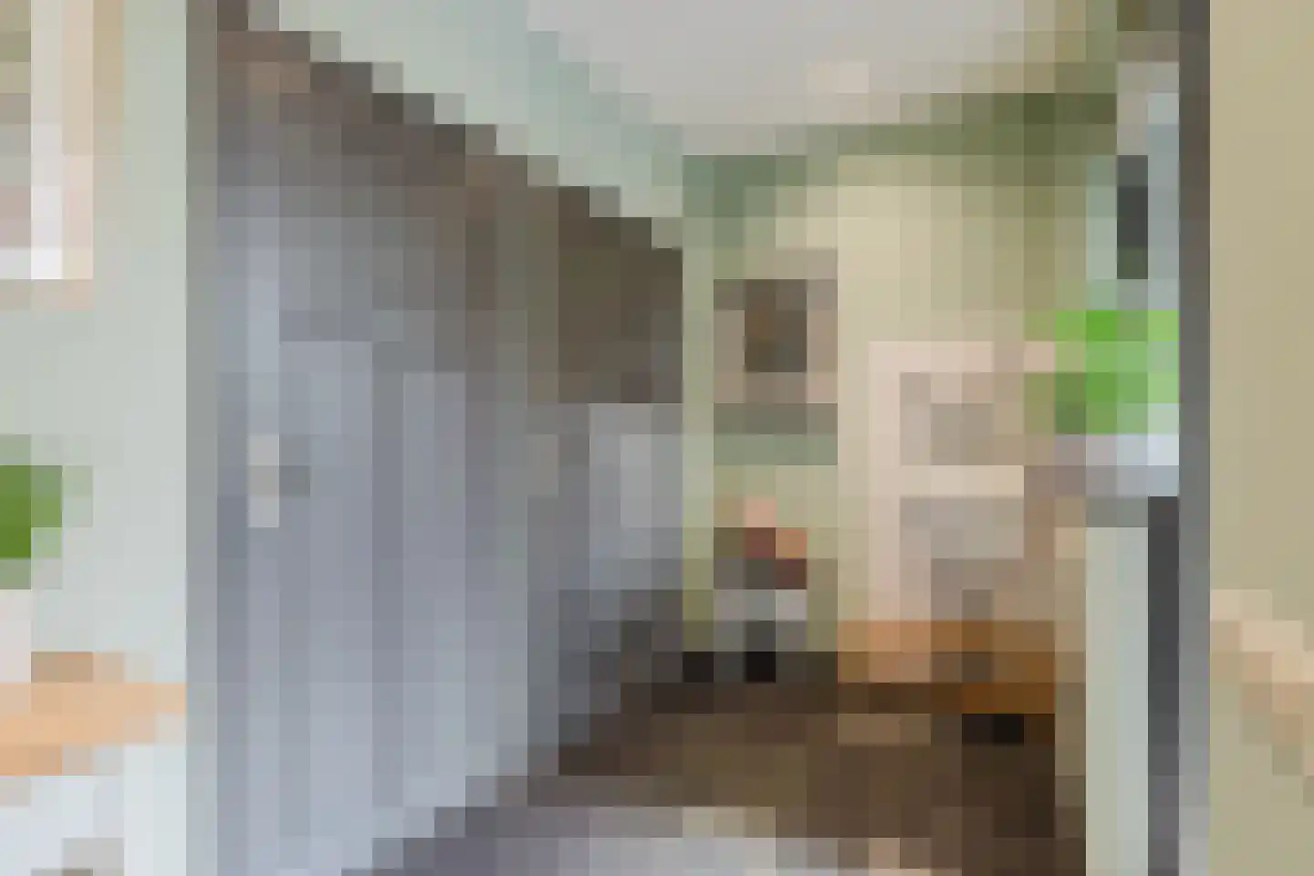 Marijkestraat 14 Bosschenhoofd thumbnail 30