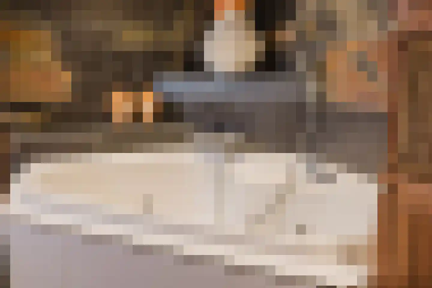 Marijkestraat 14 Bosschenhoofd thumbnail 39