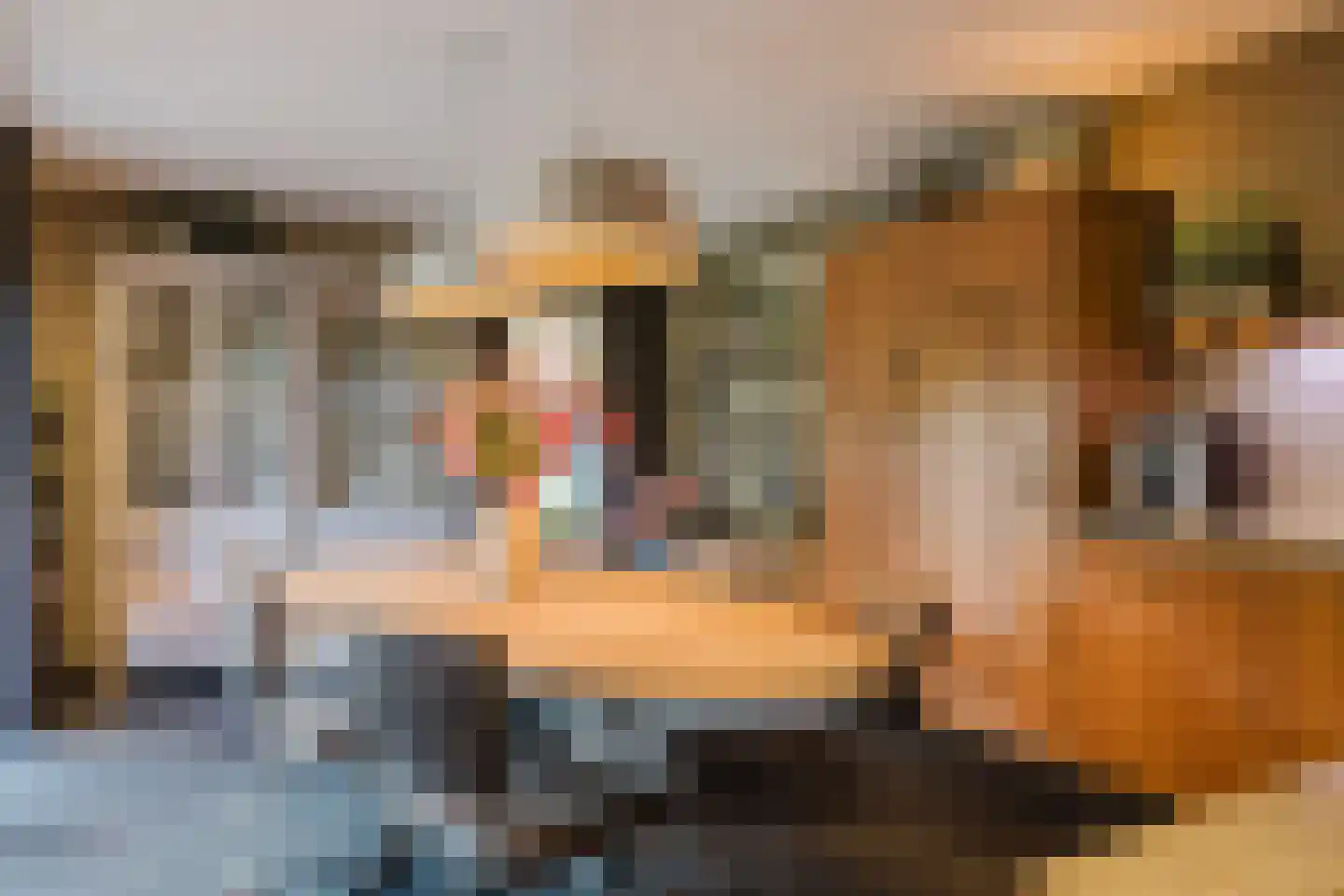 Marijkestraat 14 Bosschenhoofd thumbnail 4