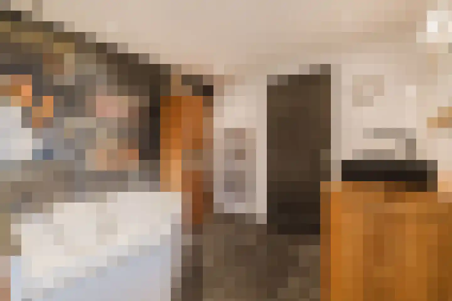 Marijkestraat 14 Bosschenhoofd thumbnail 41