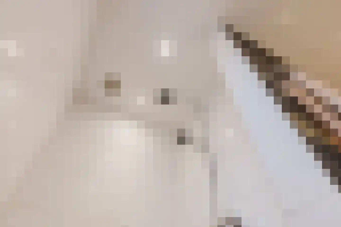 Marijkestraat 14 Bosschenhoofd thumbnail 42