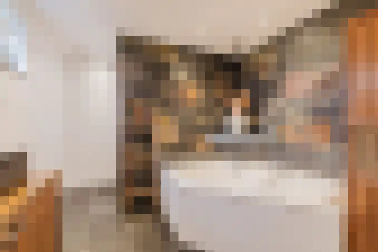 Marijkestraat 14 Bosschenhoofd thumbnail 43