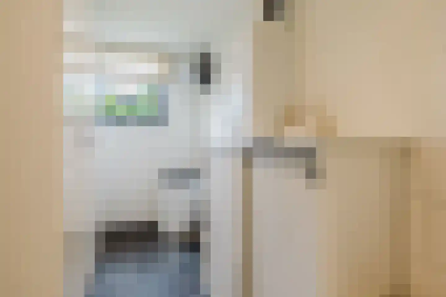 Marijkestraat 14 Bosschenhoofd thumbnail 45