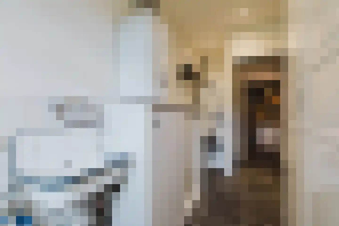 Marijkestraat 14 Bosschenhoofd thumbnail 46