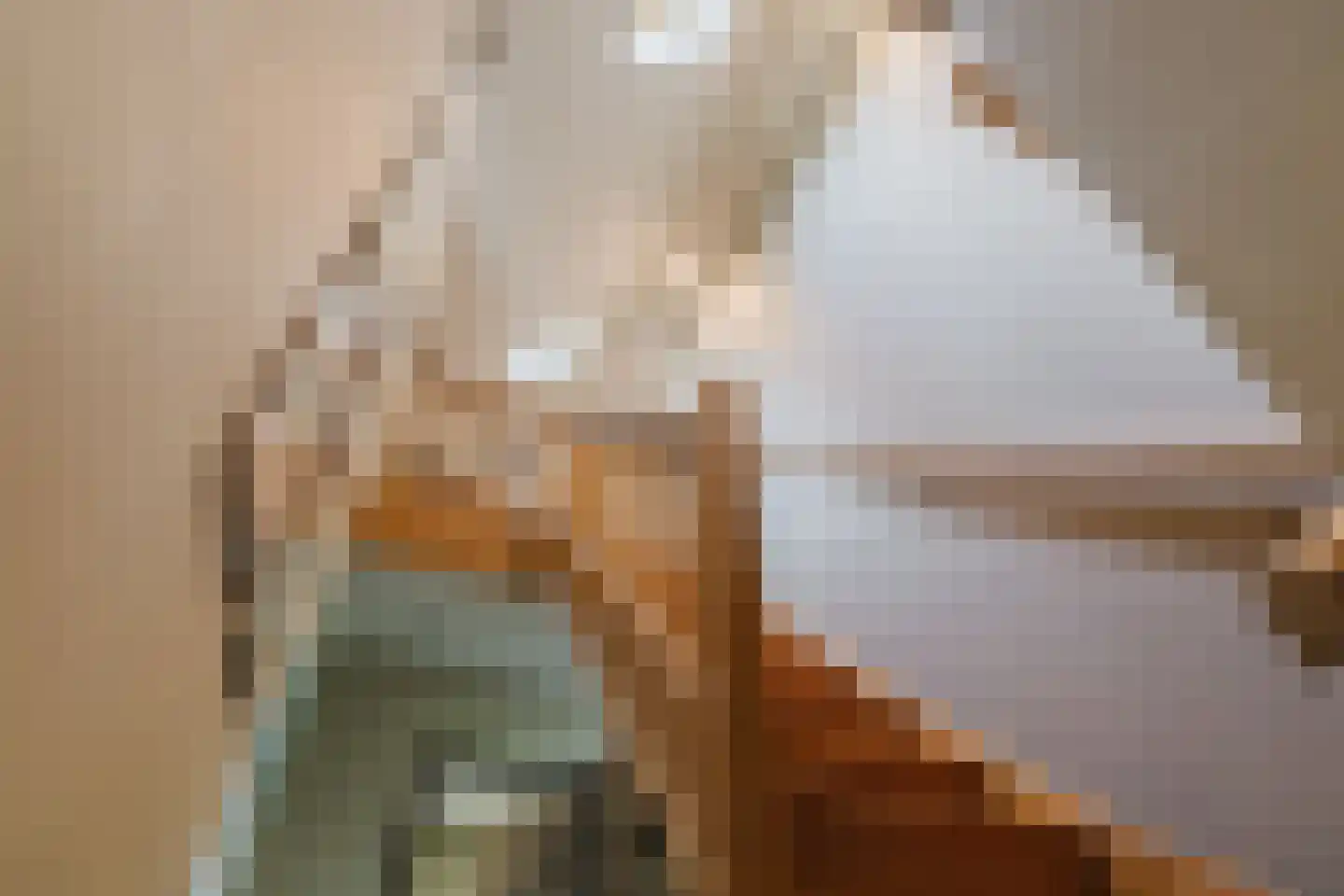 Marijkestraat 14 Bosschenhoofd thumbnail 47